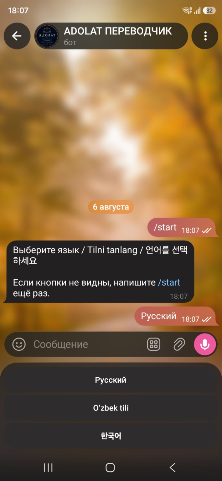 Выбор языка